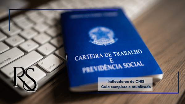 Indicadores do CNIS: Guia completo e atualizado